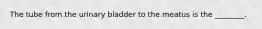 The tube from the urinary bladder to the meatus is the​ ________.