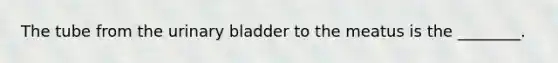 The tube from the urinary bladder to the meatus is the​ ________.