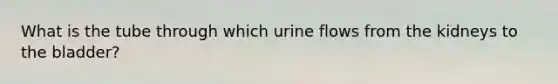 What is the tube through which urine flows from the kidneys to the bladder?