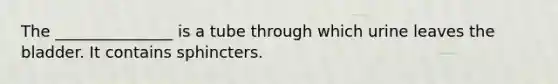 The _______________ is a tube through which urine leaves the bladder. It contains sphincters.