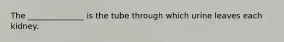 The ______________ is the tube through which urine leaves each kidney.