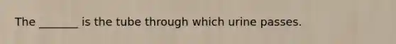 The _______ is the tube through which urine passes.