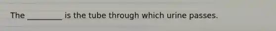 The _________ is the tube through which urine passes.