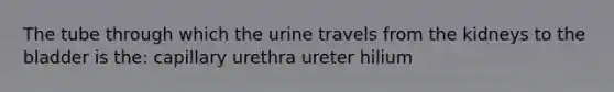 The tube through which the urine travels from the kidneys to the bladder is the: capillary urethra ureter hilium