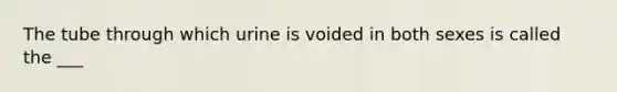 The tube through which urine is voided in both sexes is called the ___