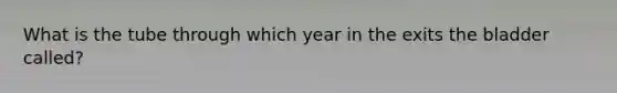 What is the tube through which year in the exits the bladder called?