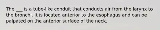 The ___ is a tube-like conduit that conducts air from the larynx to the bronchi. It is located anterior to the esophagus and can be palpated on the anterior surface of the neck.