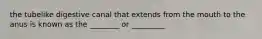 the tubelike digestive canal that extends from the mouth to the anus is known as the ________ or _________