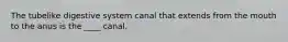 The tubelike digestive system canal that extends from the mouth to the anus is the ____ canal.