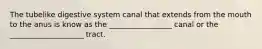 The tubelike digestive system canal that extends from the mouth to the anus is know as the _________________ canal or the ____________________ tract.