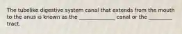 The tubelike digestive system canal that extends from the mouth to the anus is known as the ______________ canal or the _________ tract.