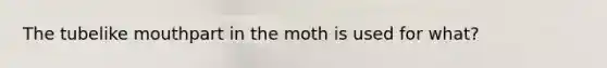 The tubelike mouthpart in the moth is used for what?