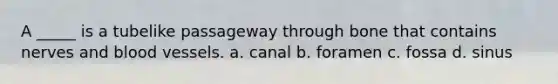 A _____ is a tubelike passageway through bone that contains nerves and blood vessels. a. canal b. foramen c. fossa d. sinus