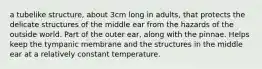 a tubelike structure, about 3cm long in adults, that protects the delicate structures of the middle ear from the hazards of the outside world. Part of the outer ear, along with the pinnae. Helps keep the tympanic membrane and the structures in the middle ear at a relatively constant temperature.