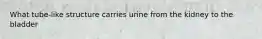 What tube-like structure carries urine from the kidney to the bladder
