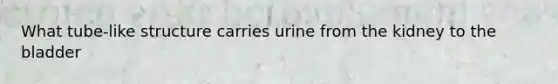 What tube-like structure carries urine from the kidney to the bladder