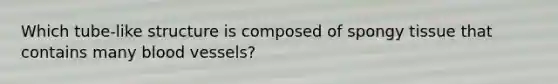 Which tube-like structure is composed of spongy tissue that contains many <a href='https://www.questionai.com/knowledge/kZJ3mNKN7P-blood-vessels' class='anchor-knowledge'>blood vessels</a>?