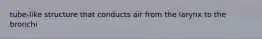 tube-like structure that conducts air from the larynx to the bronchi