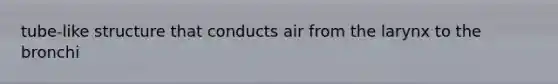 tube-like structure that conducts air from the larynx to the bronchi