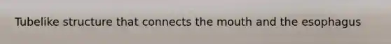 Tubelike structure that connects the mouth and the esophagus