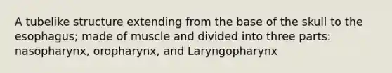 A tubelike structure extending from the base of the skull to the esophagus; made of muscle and divided into three parts: nasopharynx, oropharynx, and Laryngopharynx