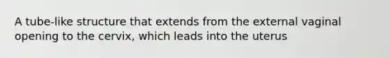 A tube-like structure that extends from the external vaginal opening to the cervix, which leads into the uterus