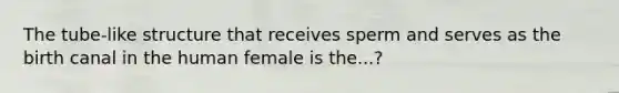 The tube-like structure that receives sperm and serves as the birth canal in the human female is the...?