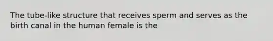 The tube-like structure that receives sperm and serves as the birth canal in the human female is the