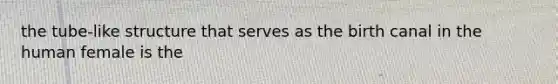 the tube-like structure that serves as the birth canal in the human female is the