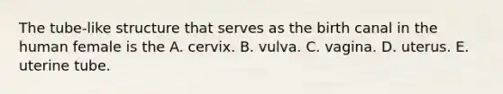 The tube-like structure that serves as the birth canal in the human female is the A. cervix. B. vulva. C. vagina. D. uterus. E. uterine tube.