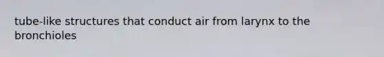 tube-like structures that conduct air from larynx to the bronchioles