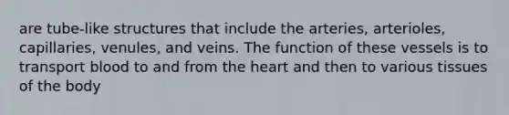 are tube-like structures that include the arteries, arterioles, capillaries, venules, and veins. The function of these vessels is to transport blood to and from the heart and then to various tissues of the body