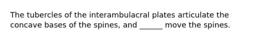 The tubercles of the interambulacral plates articulate the concave bases of the spines, and ______ move the spines.