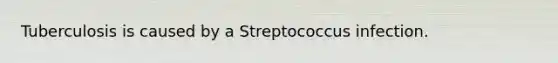 Tuberculosis is caused by a Streptococcus infection.