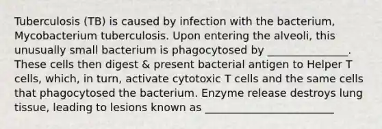 Tuberculosis (TB) is caused by infection with the bacterium, Mycobacterium tuberculosis. Upon entering the alveoli, this unusually small bacterium is phagocytosed by _______________. These cells then digest & present bacterial antigen to Helper T cells, which, in turn, activate cytotoxic T cells and the same cells that phagocytosed the bacterium. Enzyme release destroys lung tissue, leading to lesions known as ________________________