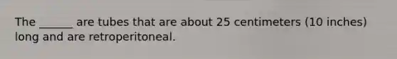 The ______ are tubes that are about 25 centimeters (10 inches) long and are retroperitoneal.
