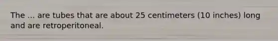 The ... are tubes that are about 25 centimeters (10 inches) long and are retroperitoneal.