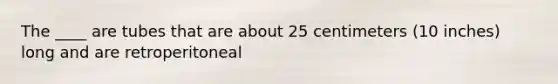 The ____ are tubes that are about 25 centimeters (10 inches) long and are retroperitoneal