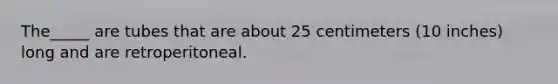 The_____ are tubes that are about 25 centimeters (10 inches) long and are retroperitoneal.