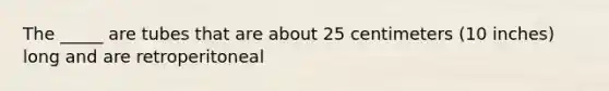 The _____ are tubes that are about 25 centimeters (10 inches) long and are retroperitoneal
