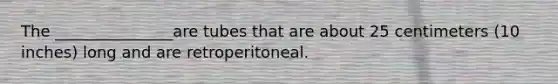 The _______________are tubes that are about 25 centimeters (10 inches) long and are retroperitoneal.