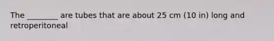 The ________ are tubes that are about 25 cm (10 in) long and retroperitoneal