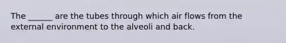 The ______ are the tubes through which air flows from the external environment to the alveoli and back.