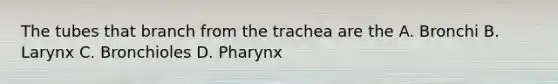 The tubes that branch from the trachea are the A. Bronchi B. Larynx C. Bronchioles D. Pharynx