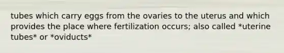 tubes which carry eggs from the ovaries to the uterus and which provides the place where fertilization occurs; also called *uterine tubes* or *oviducts*