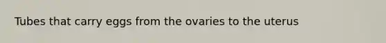 Tubes that carry eggs from the ovaries to the uterus