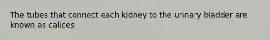 The tubes that connect each kidney to the urinary bladder are known as calices