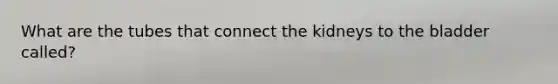 What are the tubes that connect the kidneys to the bladder called?