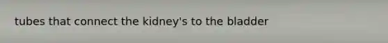 tubes that connect the kidney's to the bladder