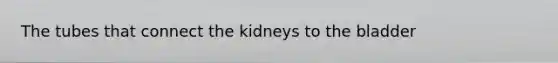 The tubes that connect the kidneys to the bladder